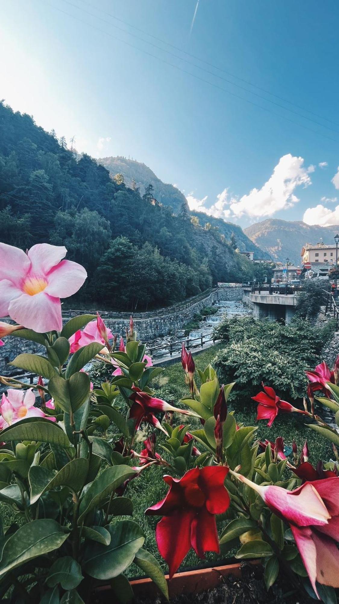 Locanda Monte Cervino Antey-Saint-André エクステリア 写真